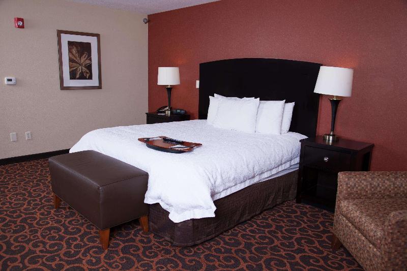 스탠다드 스튜디오 킹침대, Hampton Inn & Suites Dickinson