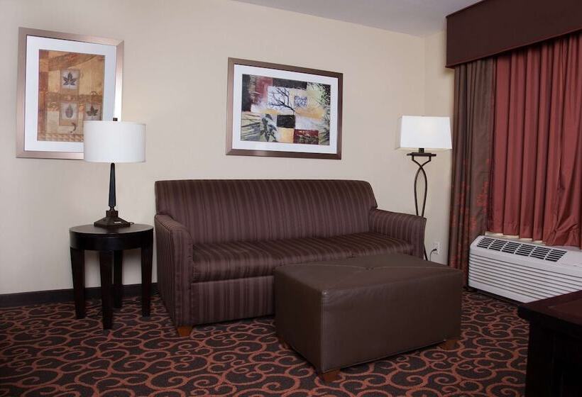Студио Стандарт Кровать Кинг, Hampton Inn & Suites Dickinson