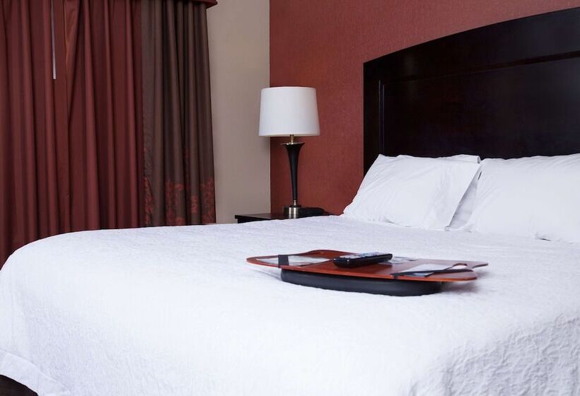 스탠다드 스튜디오 킹침대, Hampton Inn & Suites Dickinson