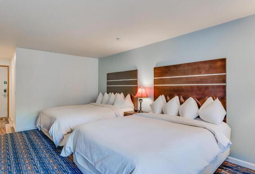 标准间带江景, Alpine Rivers Inn