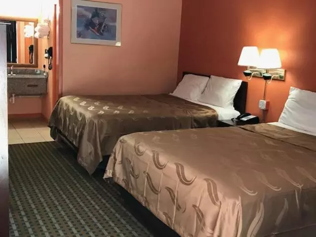 ２ダブルベッドのスタンダードルーム, College Inn Spartanburg