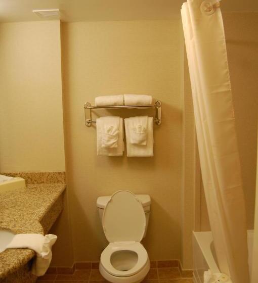 غرفة قياسية سرير كينج, Comfort Inn & Suites