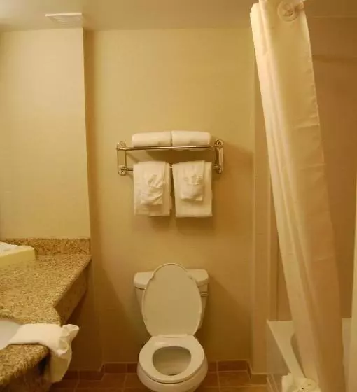 キングサイズベッドのスタンダードルーム, Comfort Inn & Suites Lexington Park Near Pax River