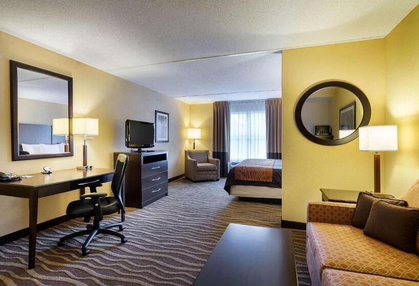 Люкс Кровать Кинг, Comfort Inn & Suites