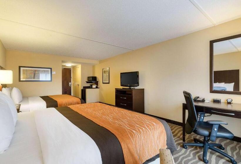 غرفة قياسية, Comfort Inn & Suites