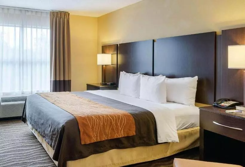 身障者適用キングサイズベッドルーム, Comfort Inn & Suites Lexington Park Near Pax River