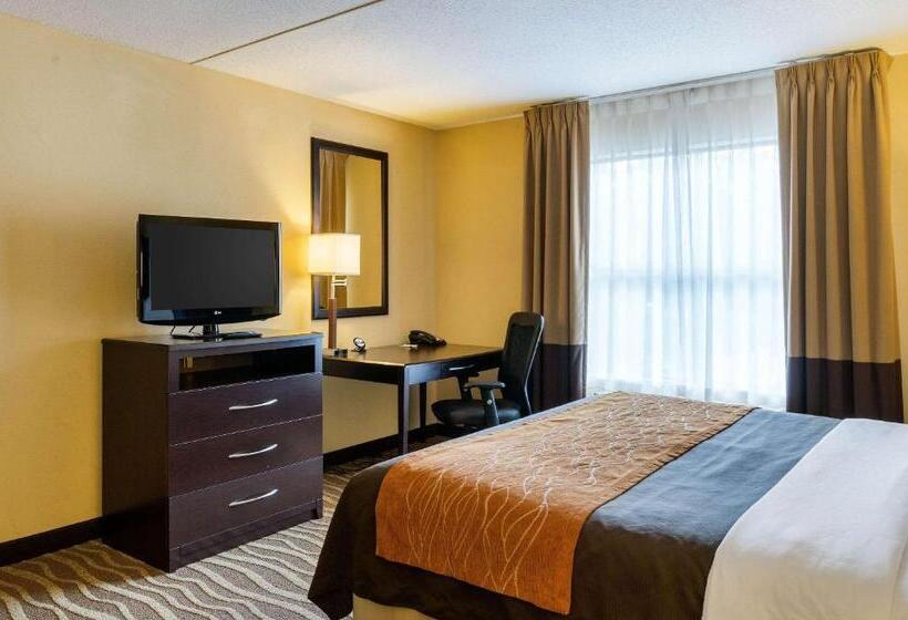 غرفة قياسية سرير كينج لذوى الإحتياجات الخاصة, Comfort Inn & Suites