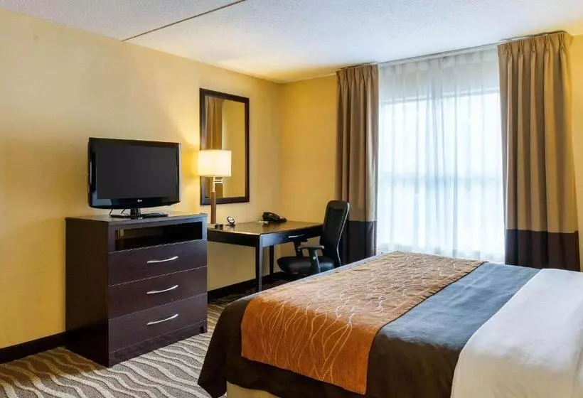 身障者適用キングサイズベッドルーム, Comfort Inn & Suites Lexington Park Near Pax River