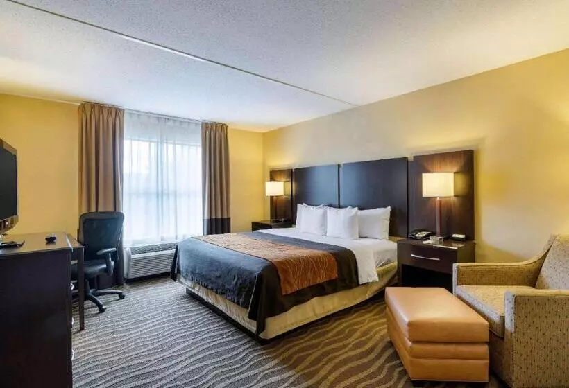 身障者適用キングサイズベッドルーム, Comfort Inn & Suites Lexington Park Near Pax River