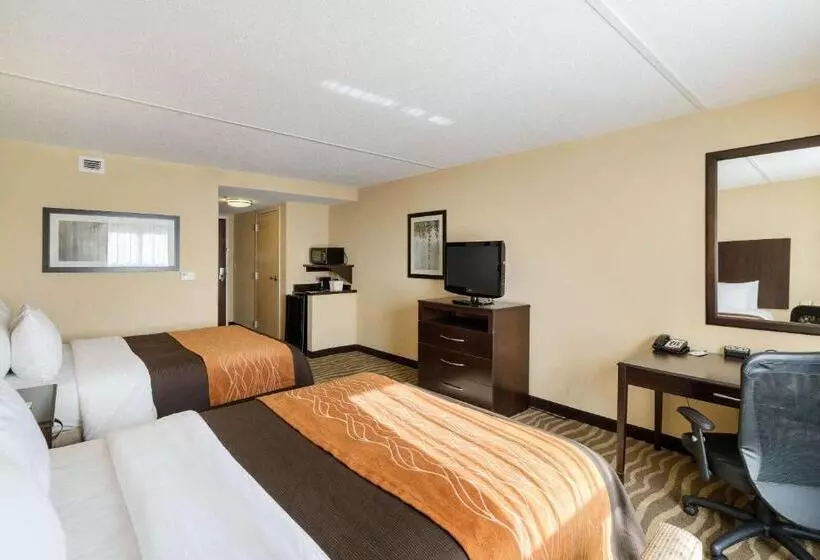 身障者適用スタンダードルーム, Comfort Inn & Suites Lexington Park Near Pax River