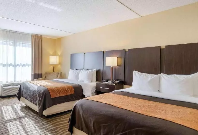 身障者適用スタンダードルーム, Comfort Inn & Suites Lexington Park Near Pax River