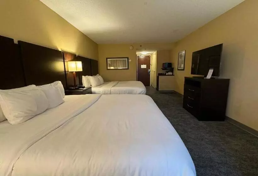 身障者適用スタンダードルーム, Comfort Inn & Suites Lexington Park Near Pax River