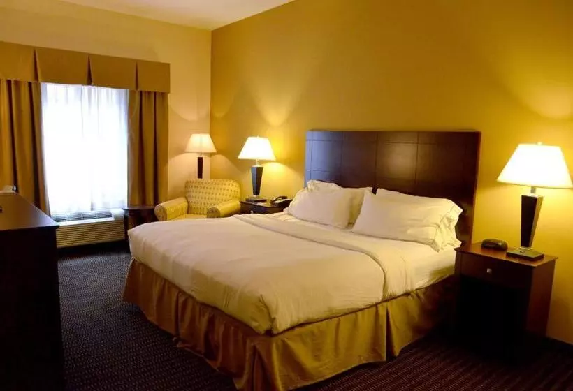 キングサイズベッドのスタンダードルーム, Holiday Inn Express & Suites Sidney, An Ihg