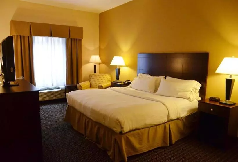 身障者適用キングサイズベッドルーム, Holiday Inn Express & Suites Sidney, An Ihg