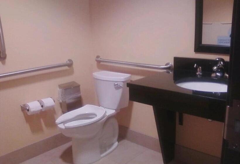 Номер Deluxe Адаптированный для Инвалидов, Holiday Inn Express & Suites Sidney, An Ihg
