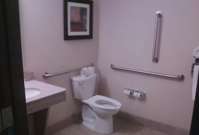 障害者適応デラックスルーム, Holiday Inn Express & Suites Sidney, An Ihg