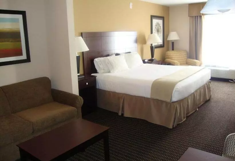 キングサイズベッドのスイートルーム, Holiday Inn Express & Suites Sidney, An Ihg