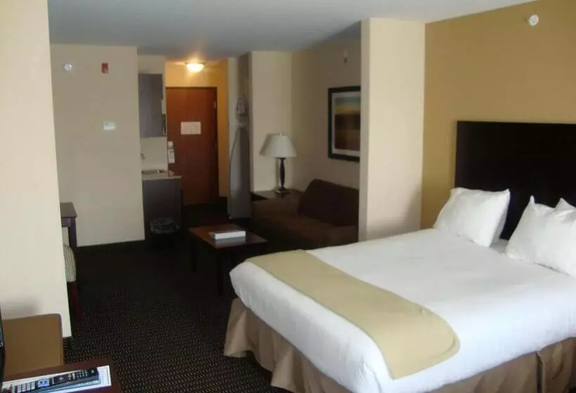 キングサイズベッドのスイートルーム, Holiday Inn Express & Suites Sidney, An Ihg