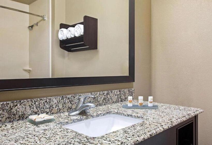 带1个卧室带观景的公寓, La Quinta By Wyndham Pearsall