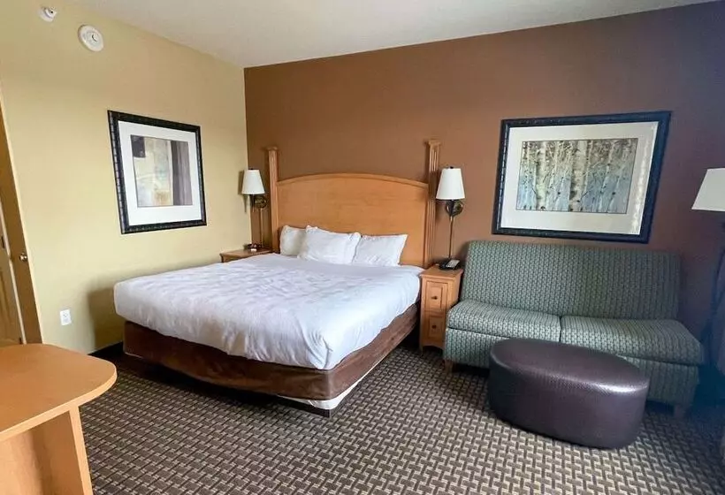 スイート, Mainstay Suites Williston