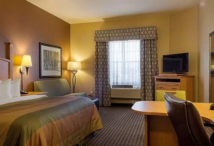 身障者適用スイートルーム, Mainstay Suites Williston