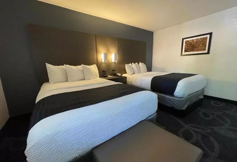 Standard-invahuone, The Historic Brookdale Lodge, Santa Cruz Mountains