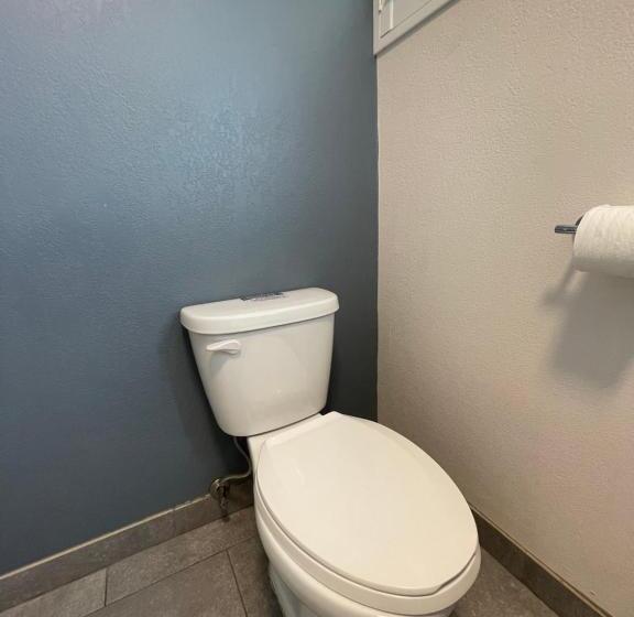 Номер Superior Кровать Кинг, The Historic Brookdale Lodge, Santa Cruz Mountains