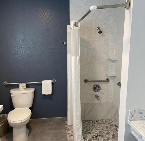 Номер Стандарт Адаптированный для Инвалидов, The Historic Brookdale Lodge, Santa Cruz Mountains