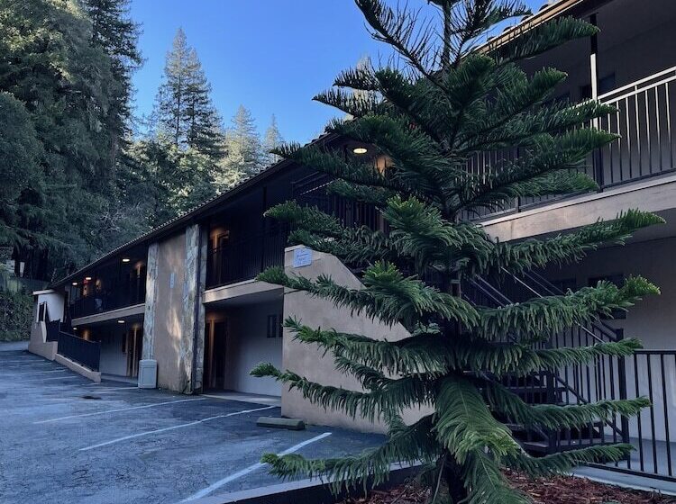 מיטת קינג בסוויטה, The Historic Brookdale Lodge, Santa Cruz Mountains