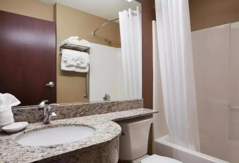 スイート, Microtel Inn & Suites