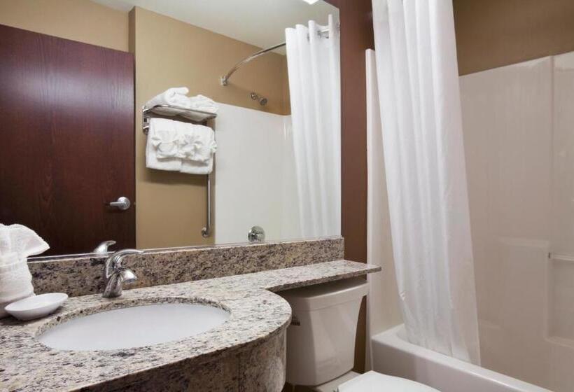 غرفة قياسية, Microtel Inn & Suites