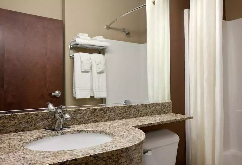 デラックスルーム, Microtel Inn & Suites By Wyndham Wheeling At The Highlands