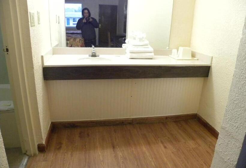 غرفة قياسية سرير كينج, Guest Inn Rogers