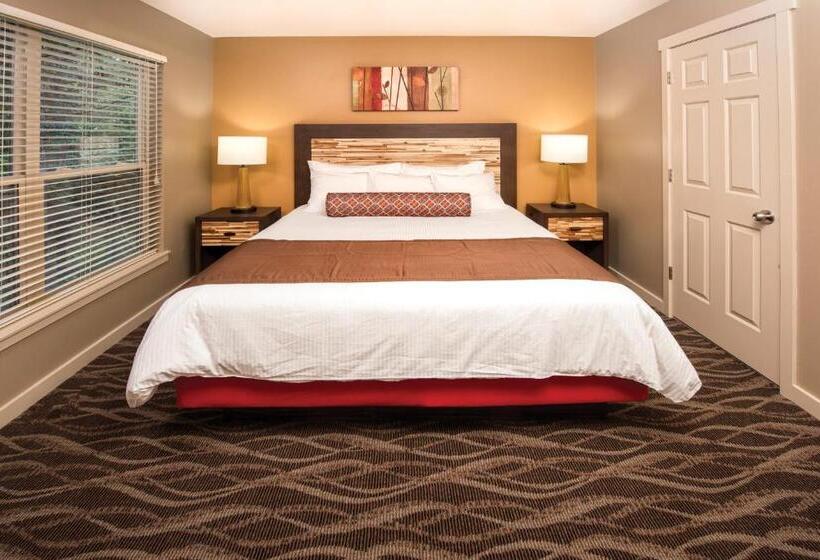 شقة ديلوكس غرفتين نوم, Worldmark Mccall