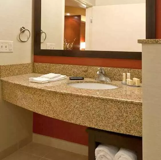 ダブルベッドのスタンダードスタジオ, Courtyard By Marriott Johnson City