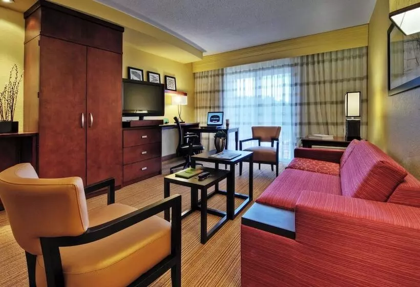 ダブルベッドのスタンダードスタジオ, Courtyard By Marriott Johnson City
