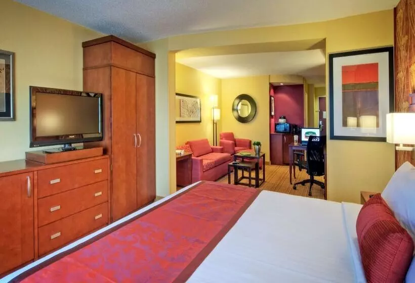ダブルベッドのスタンダードスタジオ, Courtyard By Marriott Johnson City