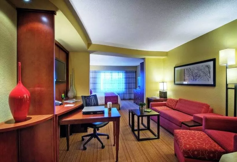 ダブルベッドのスタンダードスタジオ, Courtyard By Marriott Johnson City