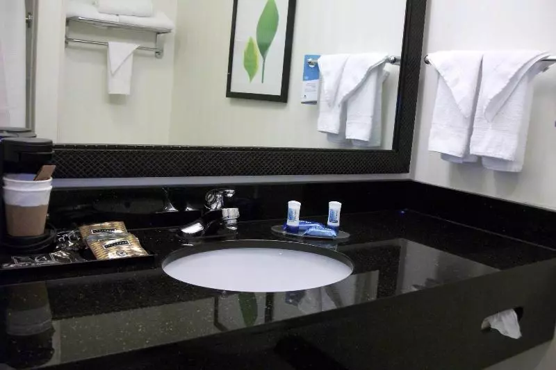 キングサイズベッドのスタンダードルーム, Fairfield Inn And Suites By Marriott Seymour
