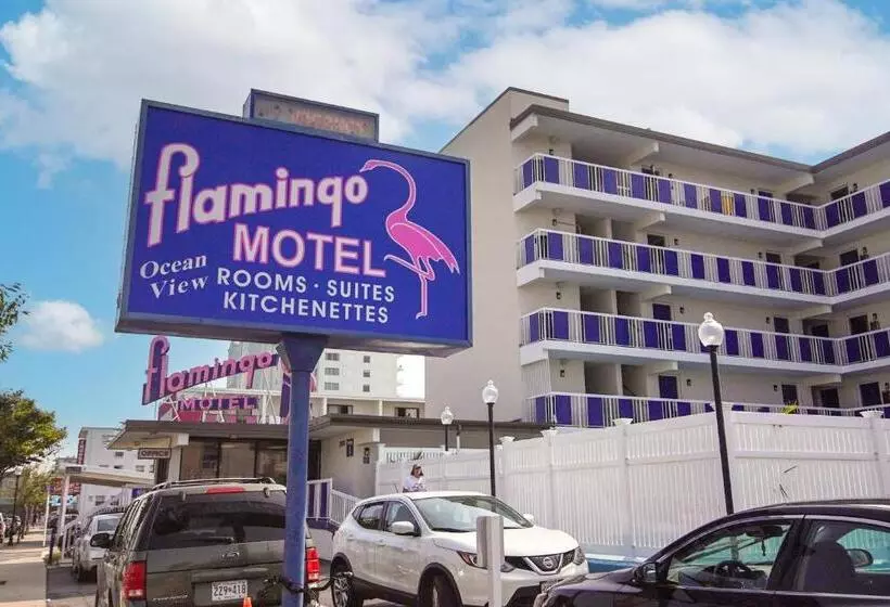オーシャンビュースタンダードルーム, Flamingo Motel