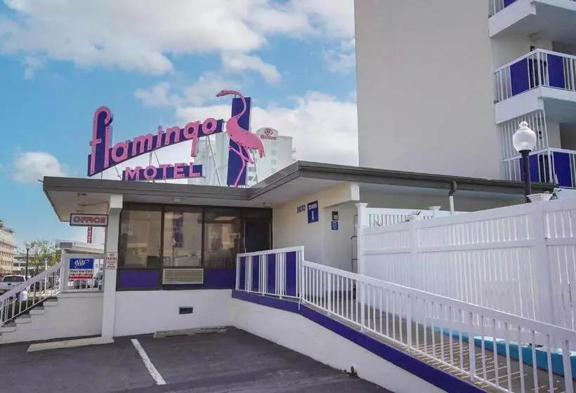 シングルデラックスルーム, Flamingo Motel