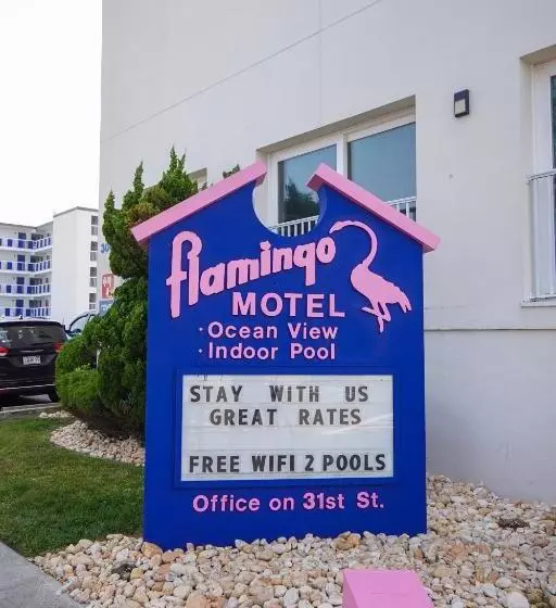 キッチン付きスタンダードルーム, Flamingo Motel
