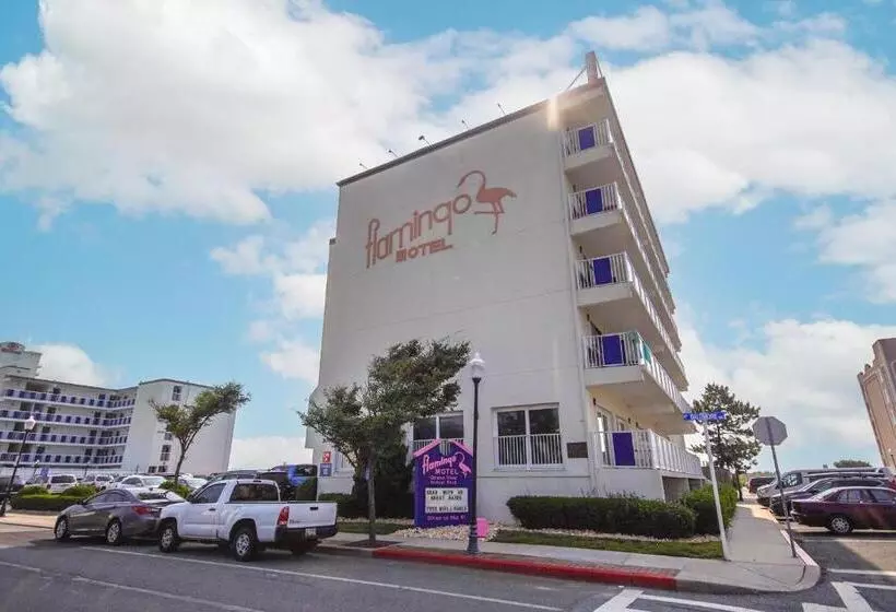 キッチン付きスタンダードルーム, Flamingo Motel