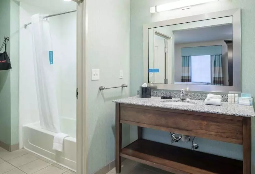 スイート, Hampton Inn & Suites Huntsville/research Park Area