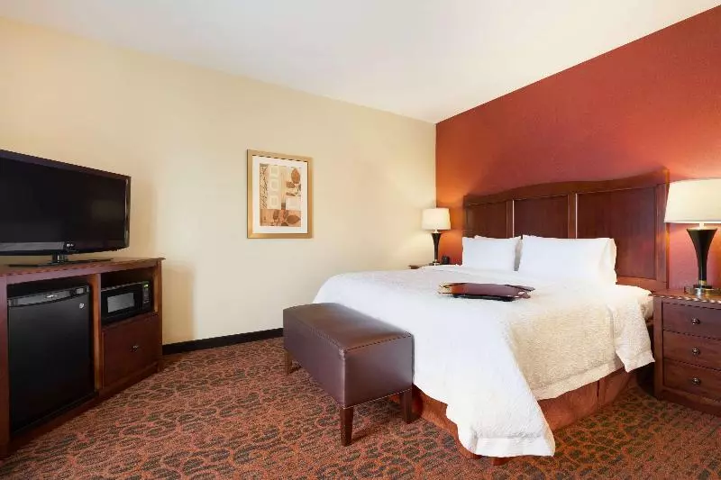 اتاق استاندارد با تخت بزرگ, Hampton Inn & Suites Williston