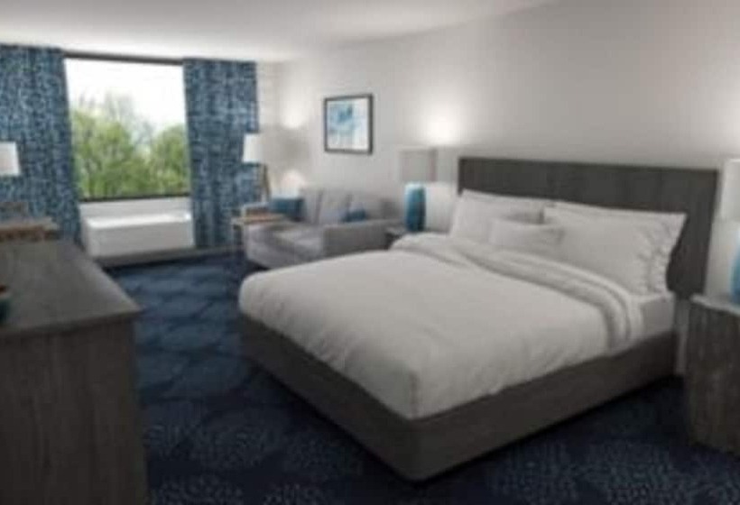 ダブルベッドスタンダードルーム, Holiday Inn Resort South Padre Island Beach Front, An Ihg