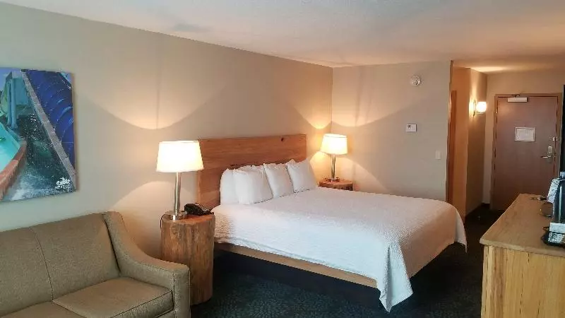 キングサイズベッドのスタンダードルーム, Holiday Inn Resort South Padre Island Beach Front, An Ihg