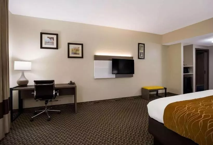 キングサイズベッドのスイートルーム, Comfort Inn & Suites Midway   Tallahassee West