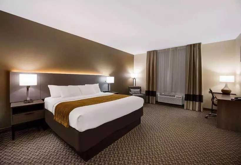 キングサイズベッドのスイートルーム, Comfort Inn & Suites Midway   Tallahassee West