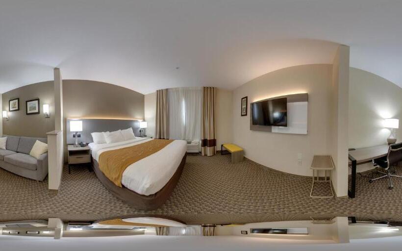 스위트 킹사이즈 침대, Comfort Inn & Suites Midway Tallahassee West